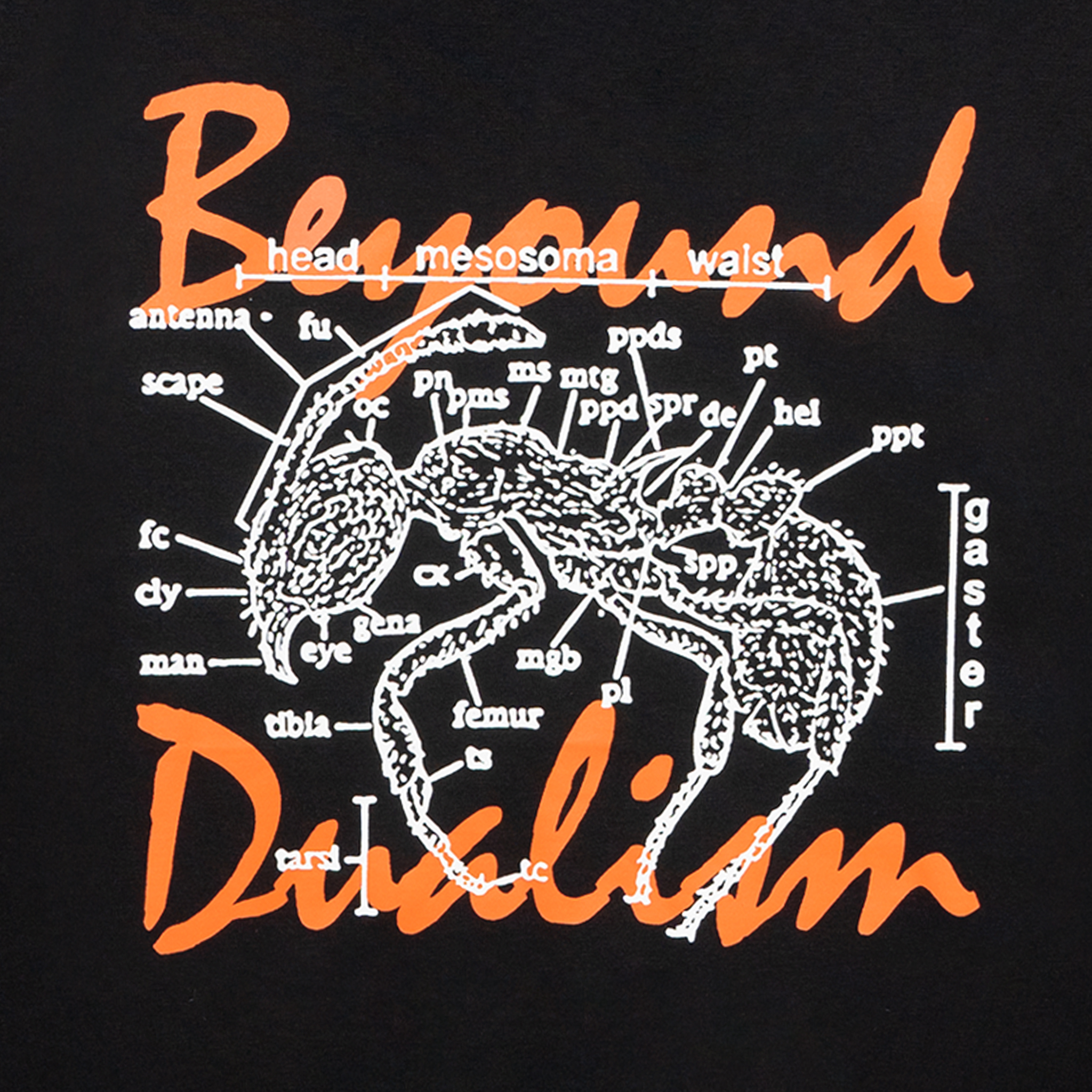 LONG SLEEVE - BEYOND DUALISM